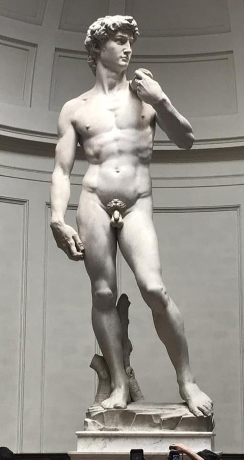 Dependace Il David Di Michelangelo Apartamento Florença Exterior foto